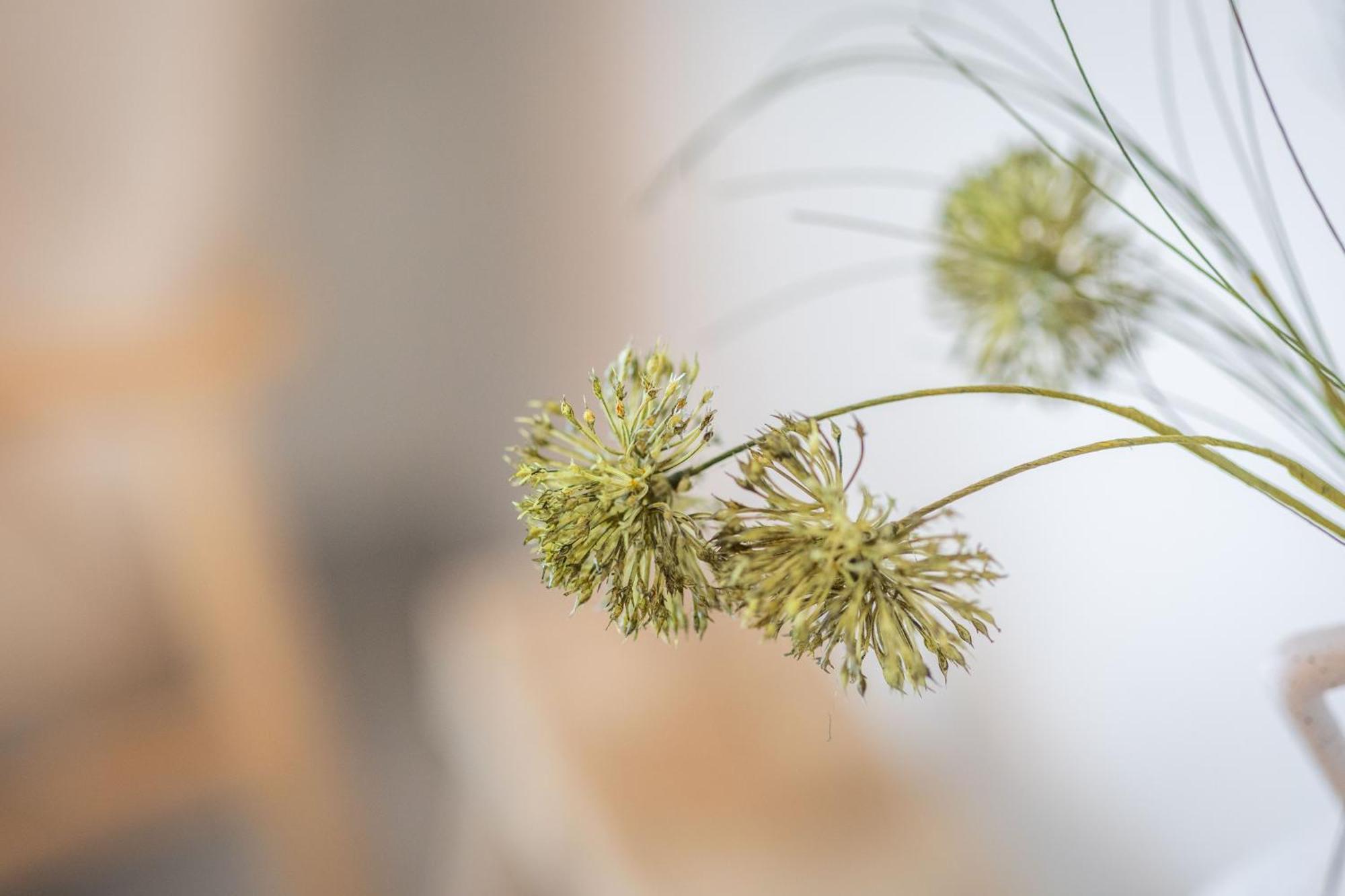 Residentie De Schelde - With Service And Wellness * Cadzand